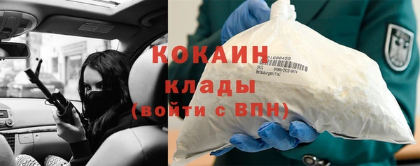 мяу мяу кристалл Гусь-Хрустальный