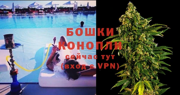 мяу мяу кристалл Гусь-Хрустальный