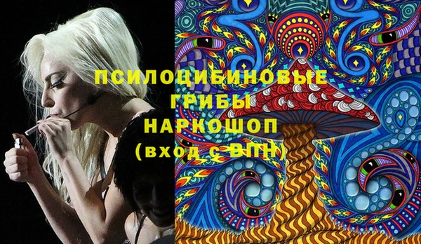 мяу мяу кристалл Гусь-Хрустальный